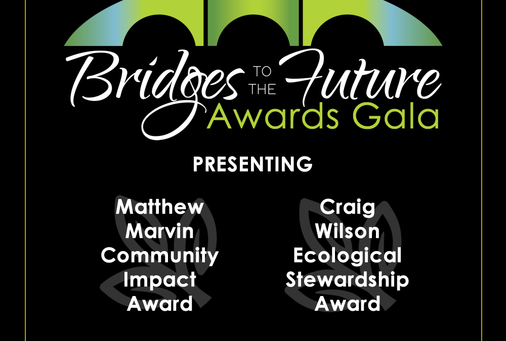 Bridges to the Future Awards Gala: Register to Attend